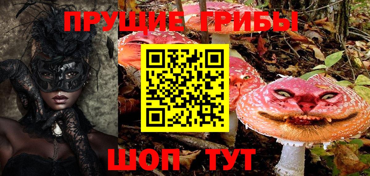 Галлюциногенные грибы GOLDEN TEACHER  Вход с VPN  Галлюциногенные грибы мухоморы  Корсаков 